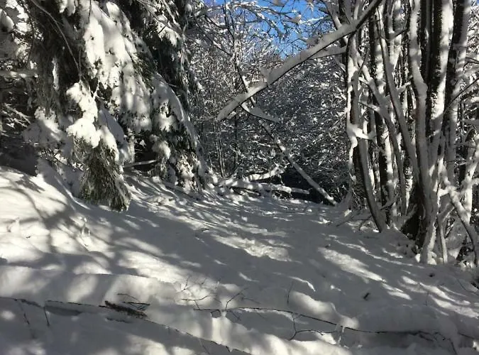 Turistico Dal Morino * Castiglione dei Pepoli