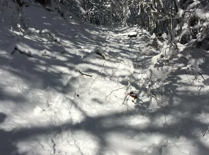 Turistico Dal Morino Castiglione dei Pepoli