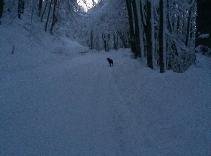 Apartment Turistico Dal Morino Castiglione dei Pepoli