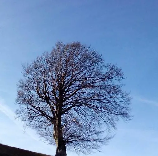 Turistico Dal Morino *