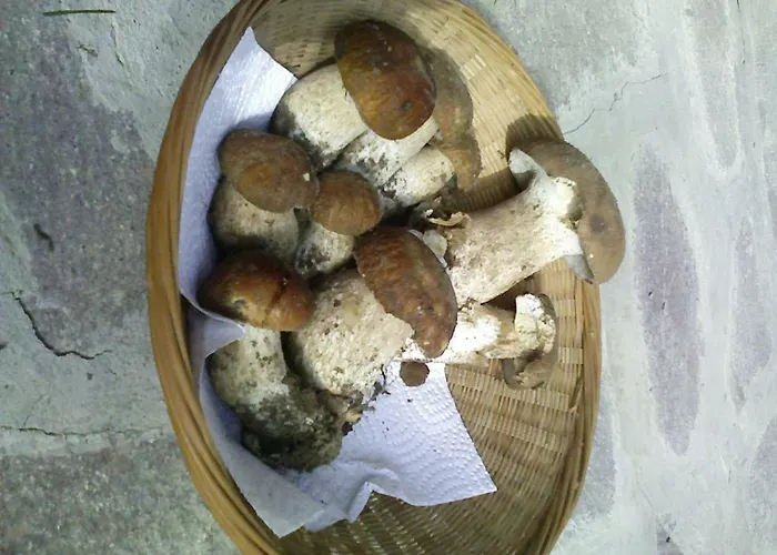 Turistico Dal Morino *