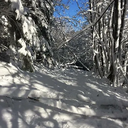 Turistico Dal Morino * Castiglione dei Pepoli