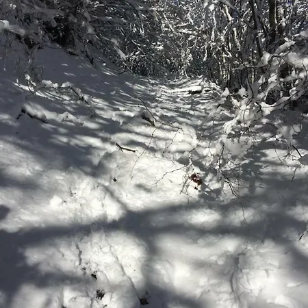 Turistico Dal Morino Castiglione dei Pepoli
