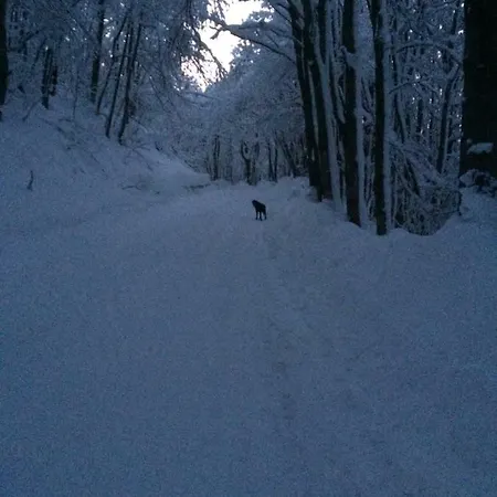 Διαμέρισμα Turistico Dal Morino Castiglione dei Pepoli