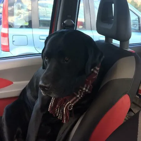 Turistico Dal Morino Διαμέρισμα *