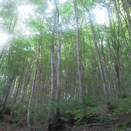 Turistico Dal Morino Appartement