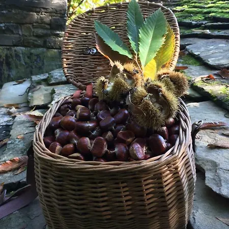 Turistico Dal Morino Διαμέρισμα *