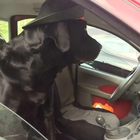 Διαμέρισμα Turistico Dal Morino *