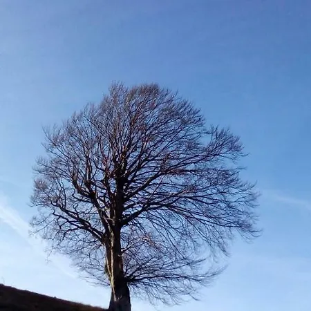 Turistico Dal Morino *