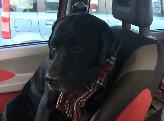 Turistico Dal Morino Lägenhet *