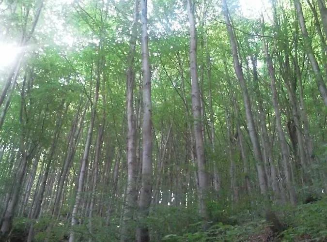 Turistico Dal Morino Lägenhet