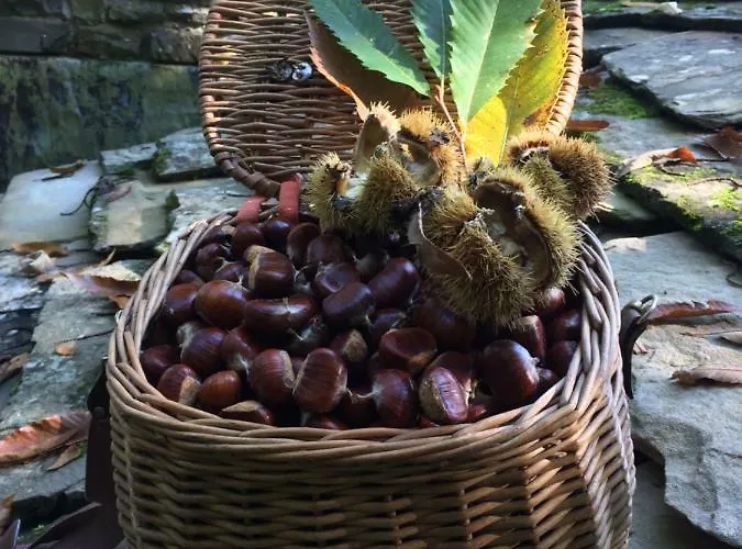 Turistico Dal Morino Lägenhet *