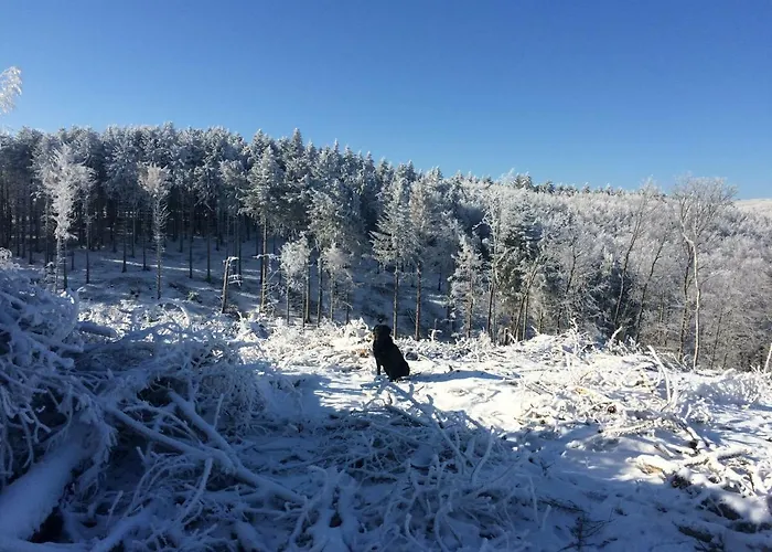 Turistico Dal Morino