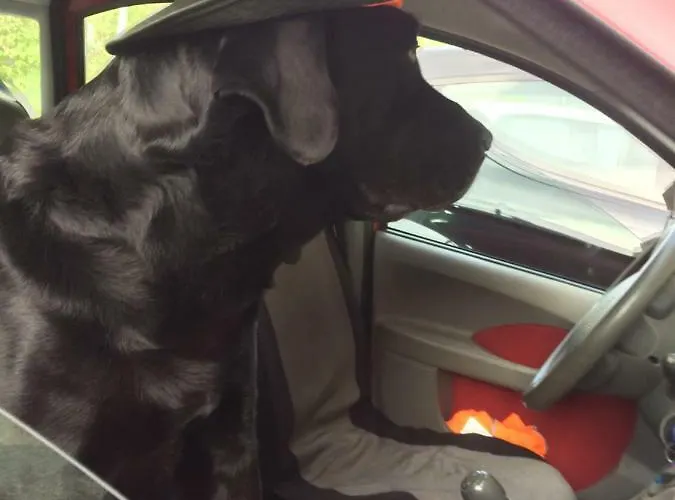 Lägenhet Turistico Dal Morino *